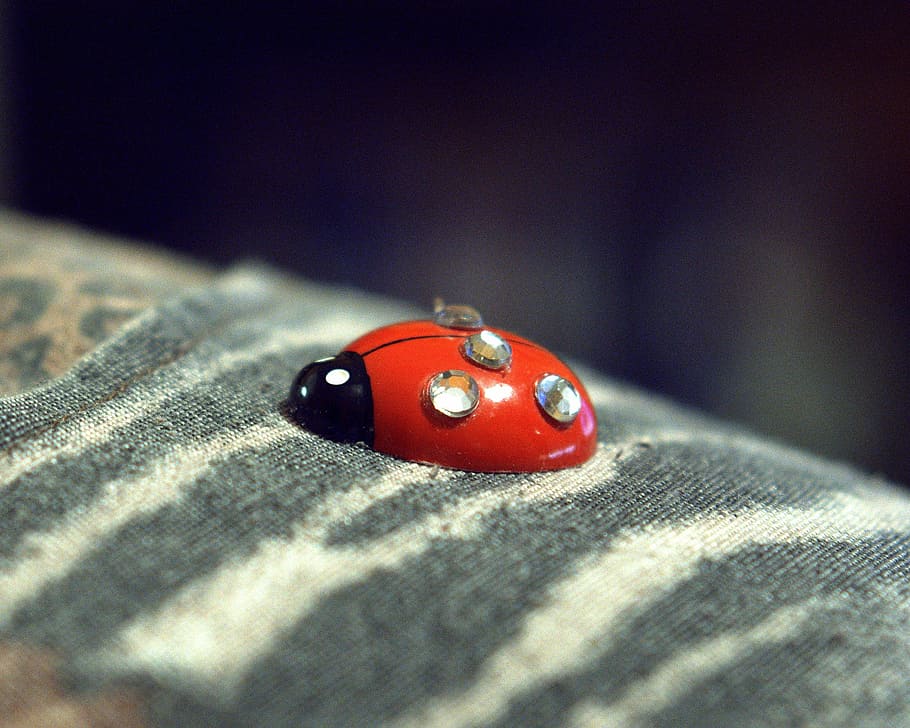 beetle, artificial, decoration, textile, small, red, texture HD wallpaper