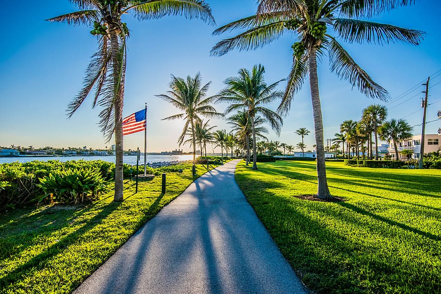 flag, sun, tree, tropical, sunset, palm tree, tropical climate HD wallpaper