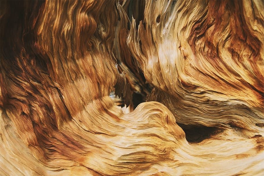 untitled, wood, pattern, texture, nature, old, surface, material HD wallpaper