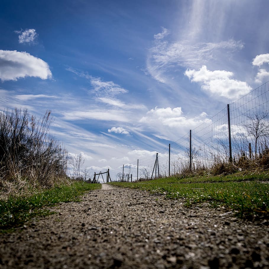 Away, Hiking, Trail, Path, Nature, germany, landscape, lane HD wallpaper