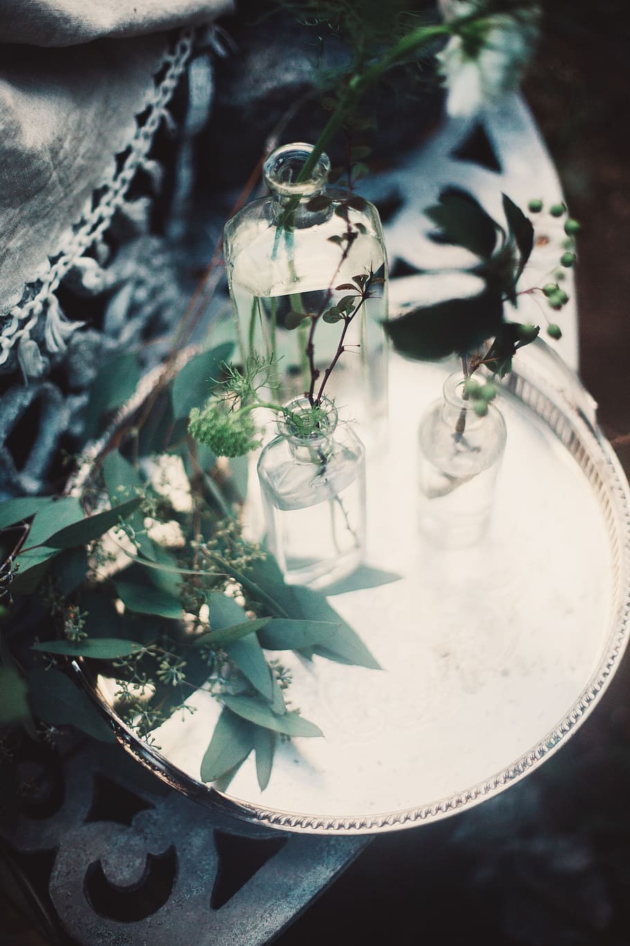 green, leaf, plant, nature, blur, glass, jar, display, water HD wallpaper