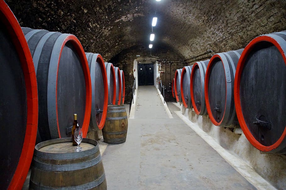 viticulture, wine, barrels, storage, cellar, wood, wooden, old