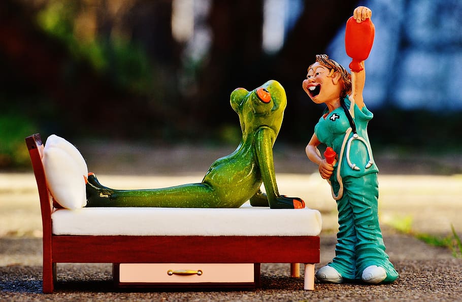 frog on bed and nurse figurines, patient, maintain, figure HD wallpaper