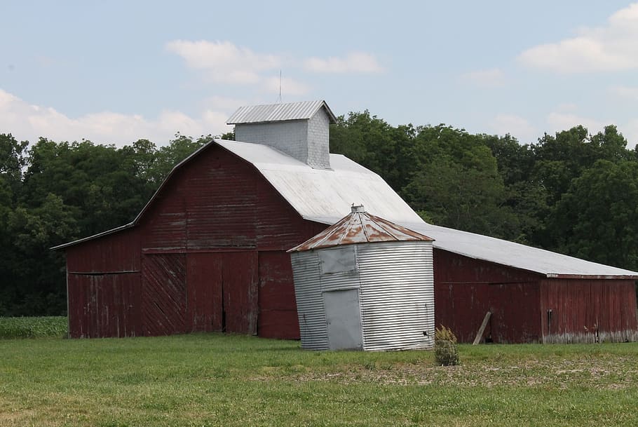 barn, rural, farm, red, burgundy, sky, trees, summer, outdoor HD wallpaper