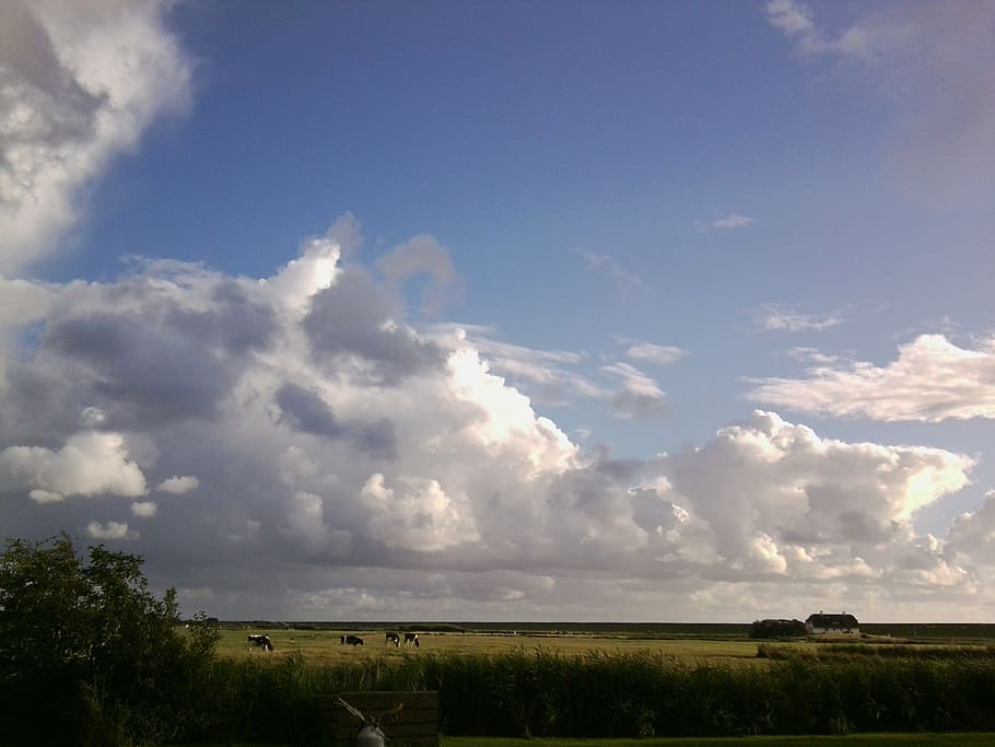 sky, wide, island, cloud - sky, plant, tranquil scene, beauty in nature HD wallpaper