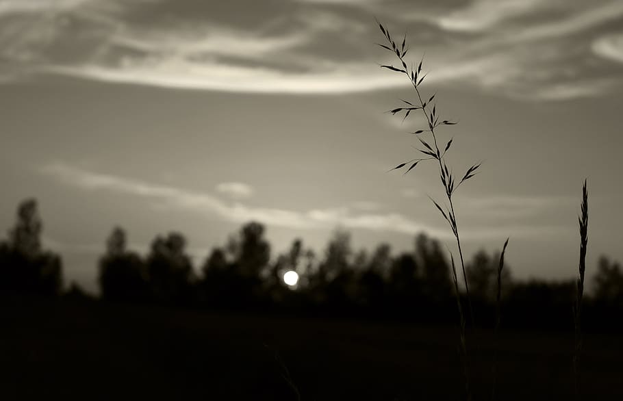Sky, Clouds, White, Nero, Nature, Cloudy, trekking, landscape HD wallpaper