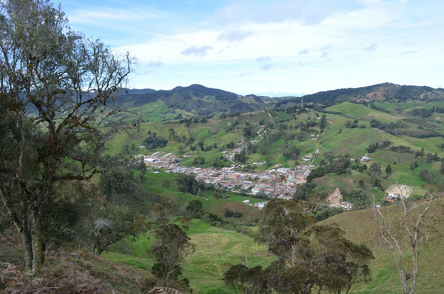 antioquia, colombia, belmira, tree, sky, beauty in nature, plant, HD wallpaper