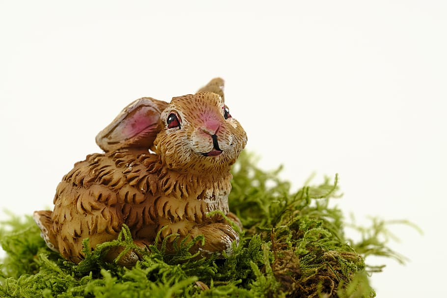 easter, easter bunny, easter celebration, hare, osterkarte HD wallpaper