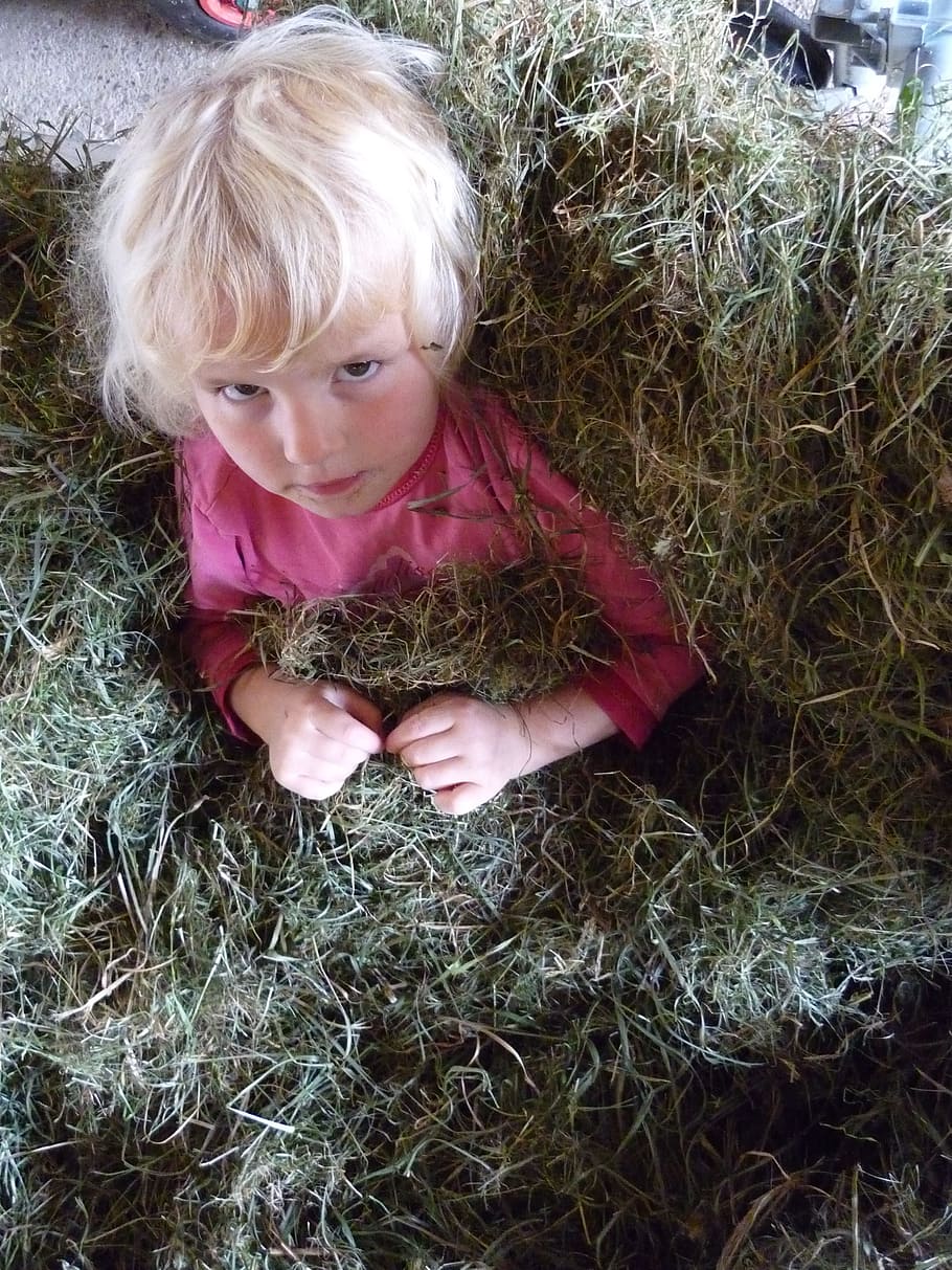 child, hay, straw, face, blond, country life, harvest, stall HD wallpaper