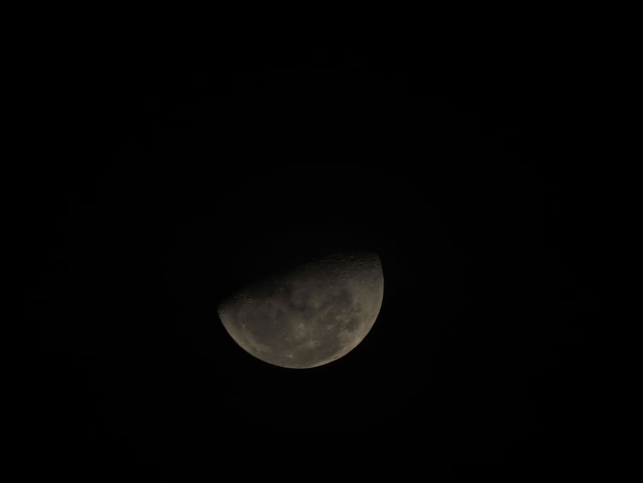 gray half moon, night, sky, dark, black, space, astronomy, beauty in nature HD wallpaper