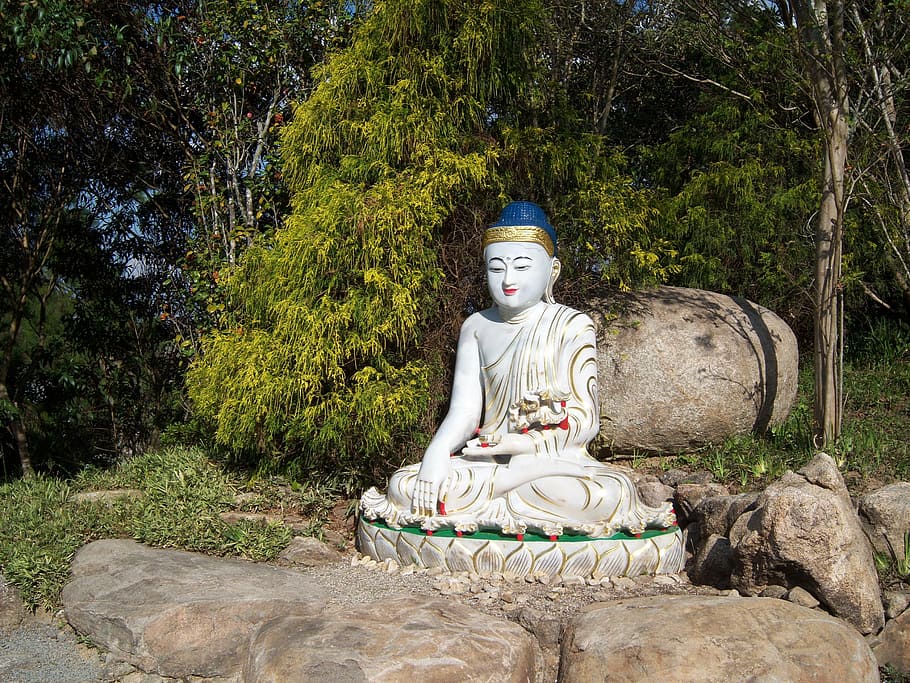 Buddha figurine, chinese buddha, sculpture, buddhist temple, agouti, HD wallpaper
