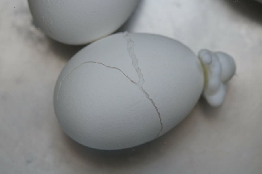 egg, burst, torn, expired, protein, white, boiled eggs, shell HD wallpaper