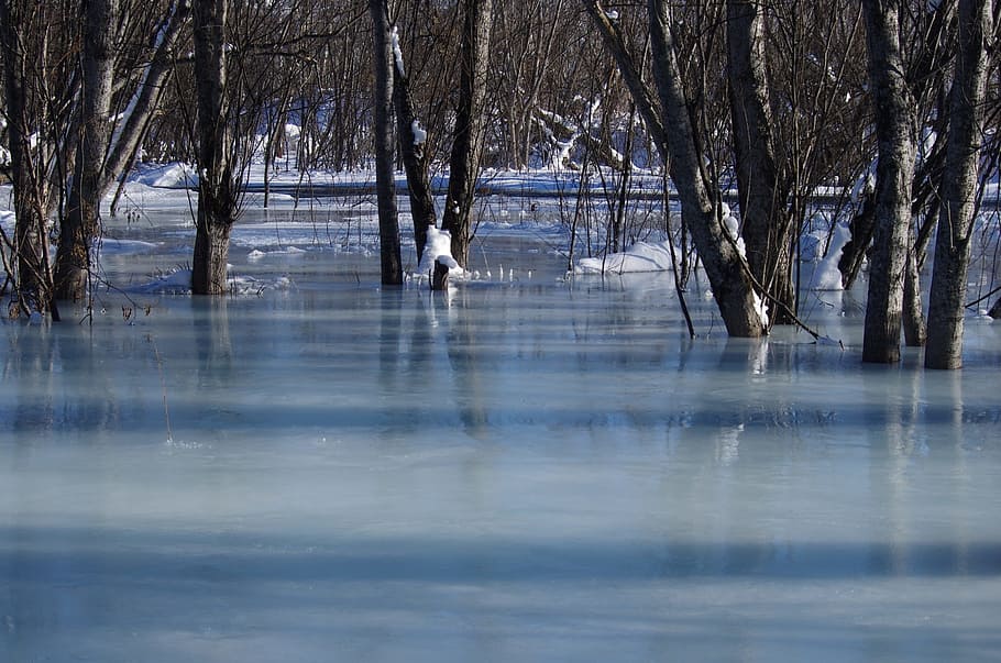 river, back on track, bend, water, for, turn the river, evening HD wallpaper