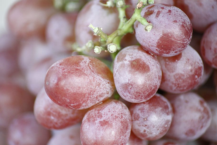 grape, fruit, macro, close-up, vitamins, food and drink, healthy eating HD wallpaper