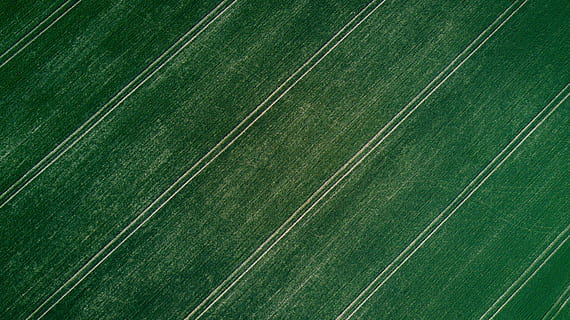 green surface, green striped textile, Field pattern, crop, grass HD wallpaper
