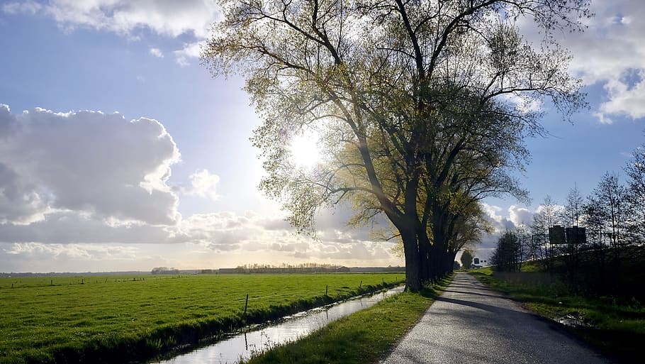 road, landscape, nature, sky, clouds, countryside, daylight, environment HD wallpaper