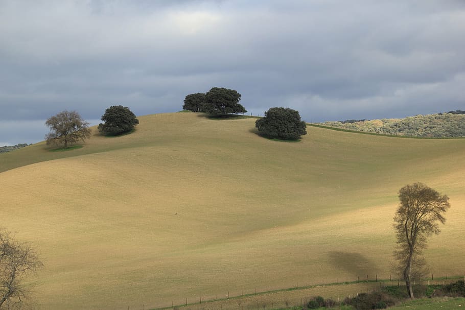spain, hills, landscape, tree, plant, scenics - nature, sky HD wallpaper