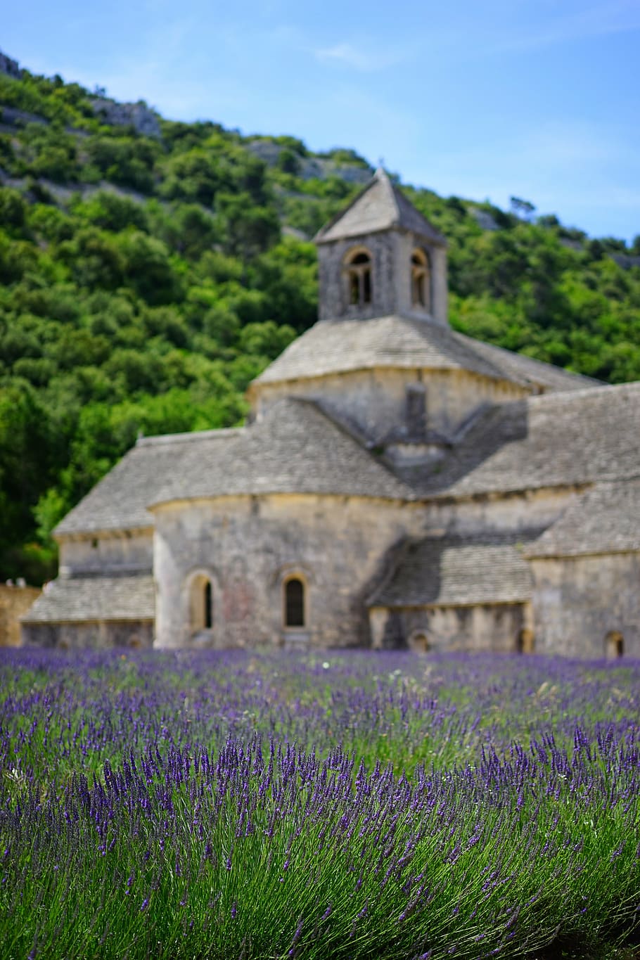 abbaye de sénanque, monastery, abbey, notre dame de sénanque