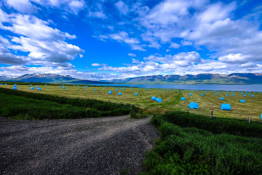 mountains, nature, sky, water, clouds, cropland, crops, environment HD wallpaper