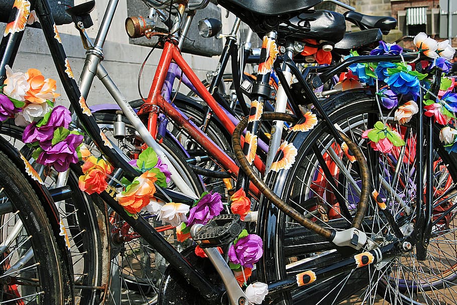 bicycle, cycling, transport, street, color, wheel, wheels, rad, HD wallpaper