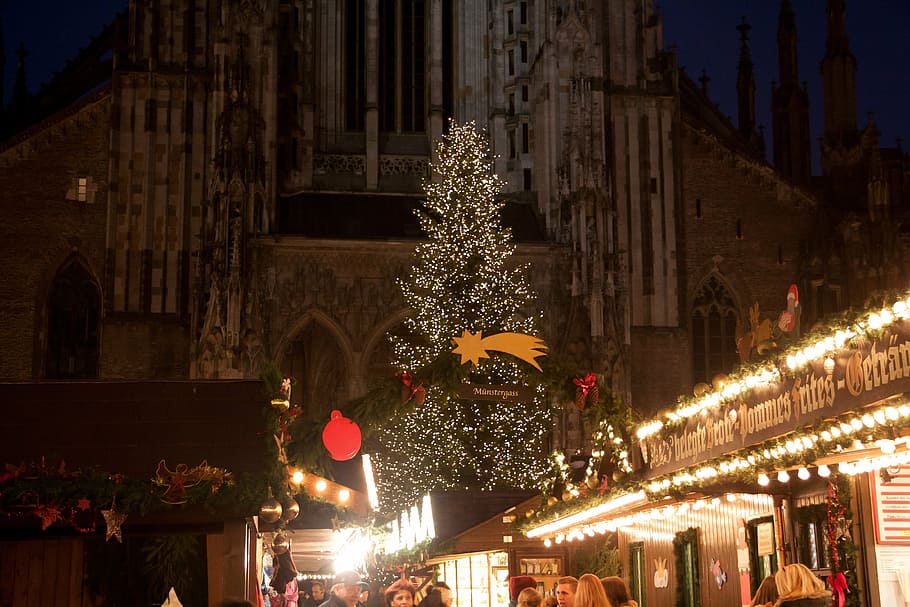 christmas market, fir, christmas tree, light, lighting, christmas decorations, HD wallpaper