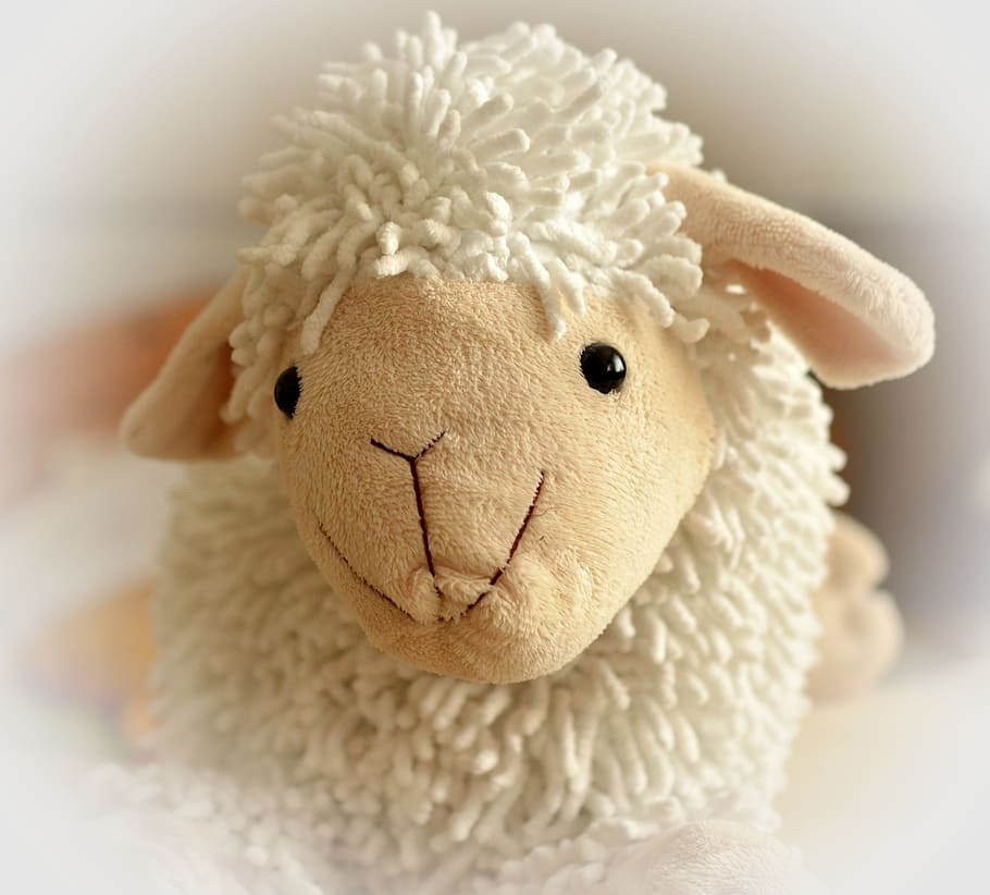 white sheep plush toy, teddy bear, soft, cuddly, cute, children toys HD wallpaper