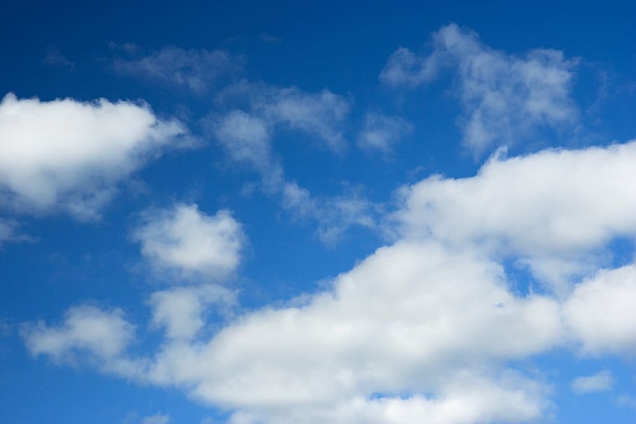 cumulus cloud, sky, blue, clouds, white, background, nature HD wallpaper
