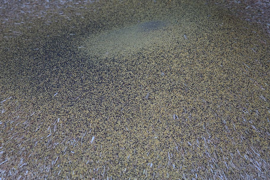 Chaff, Coffee, Threshing, Cereals, corn husks, grain sleeves HD wallpaper