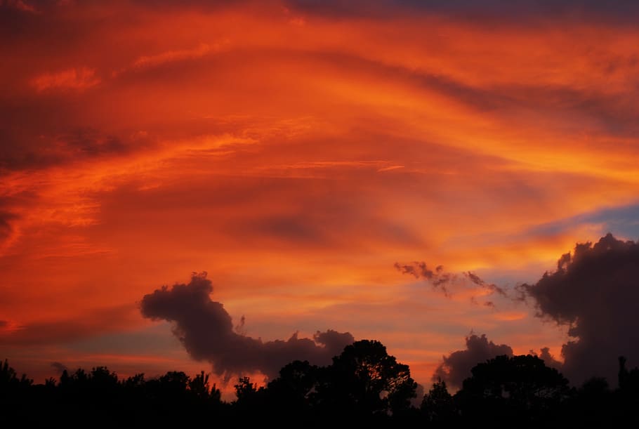 sunset, sky, orange, clouds, trees, formations, beautiful, nature HD wallpaper