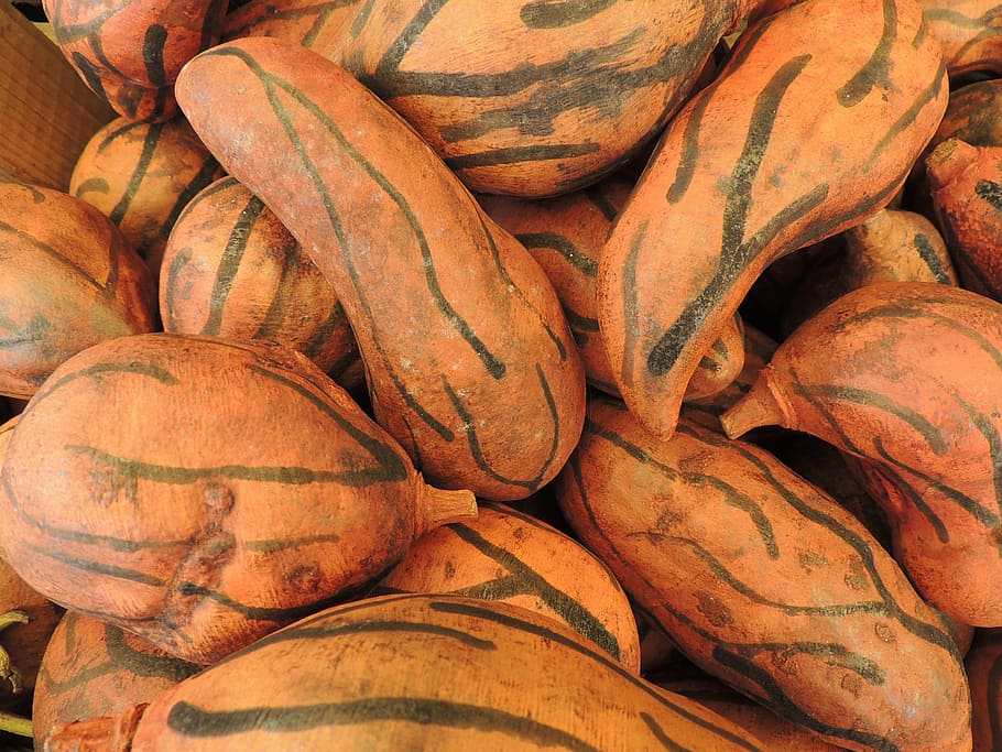 pumpkin, pattern, decoration, dried, food and drink, full frame HD wallpaper