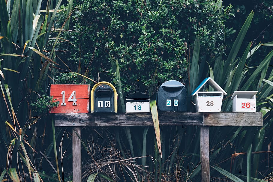 six assorted-color mail boxes, assorted-color mailboxes beside green leaf plants