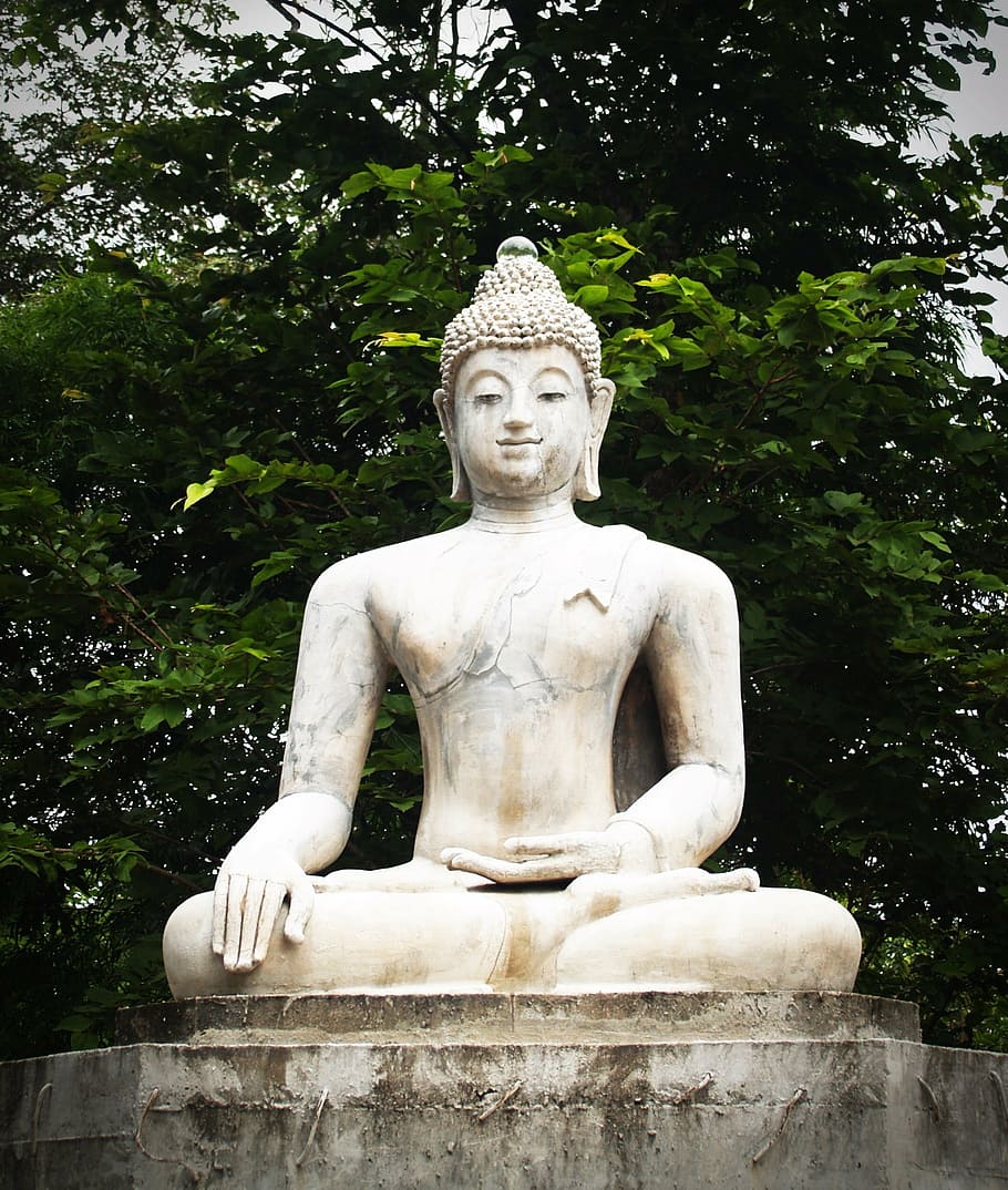 Gautama Buddha statue near trees, india, mind, prayer, concept HD wallpaper