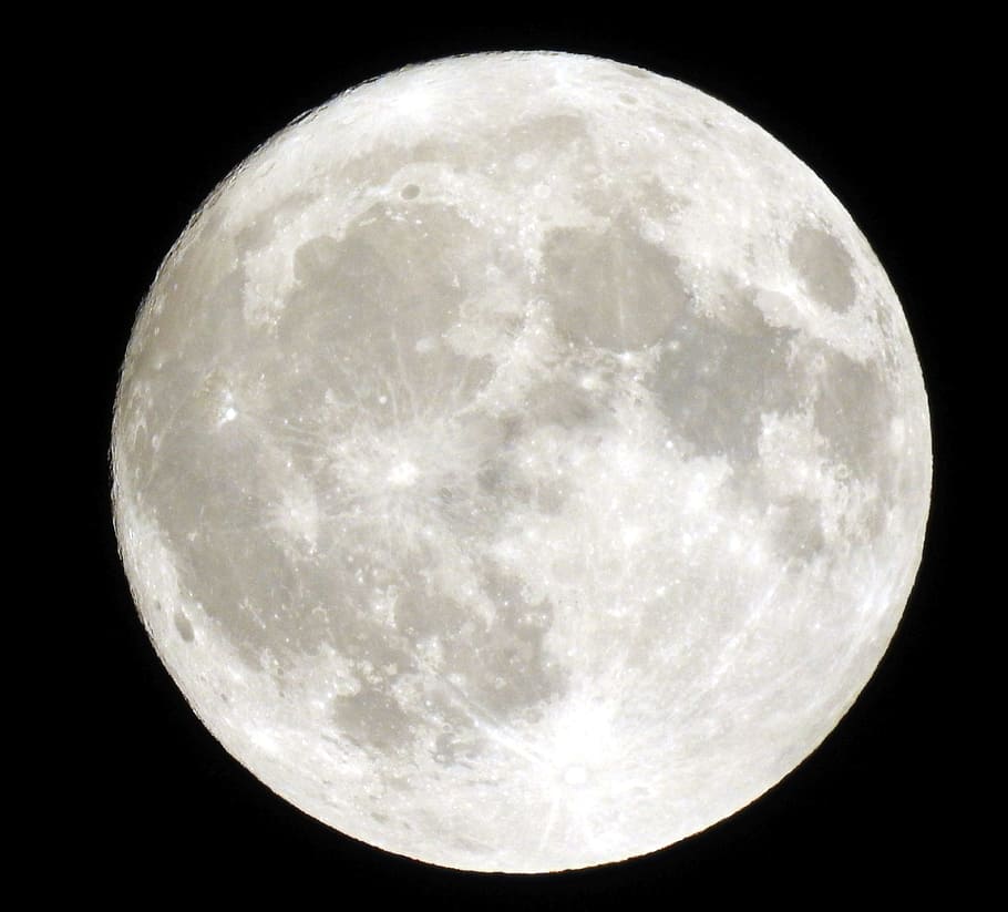 full moon, night, sky, night photograph, moonlight, celestial body HD wallpaper