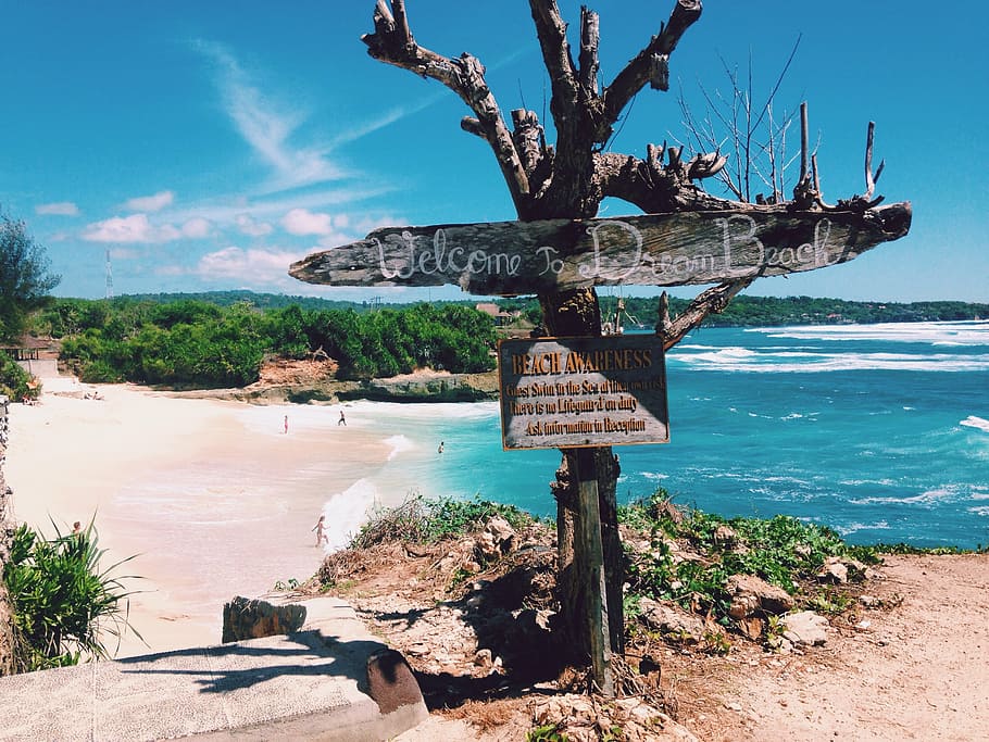 beach signage hanging on tree, blue landscape, sea, ocean, indonesia, HD wallpaper