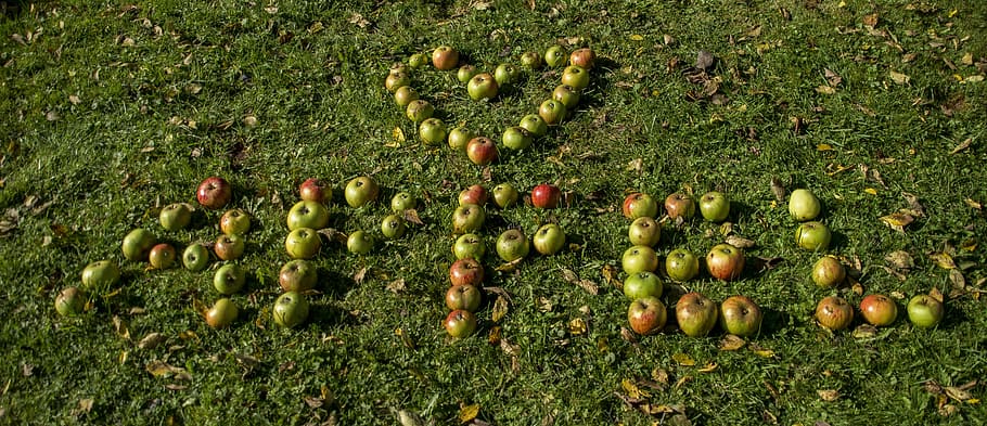 Apple, Heart, Fruit, Healthy, Letters, word, rush, delicious HD wallpaper