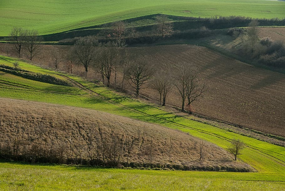 france, lala, fields, prairie, plant, land, grass, landscape HD wallpaper