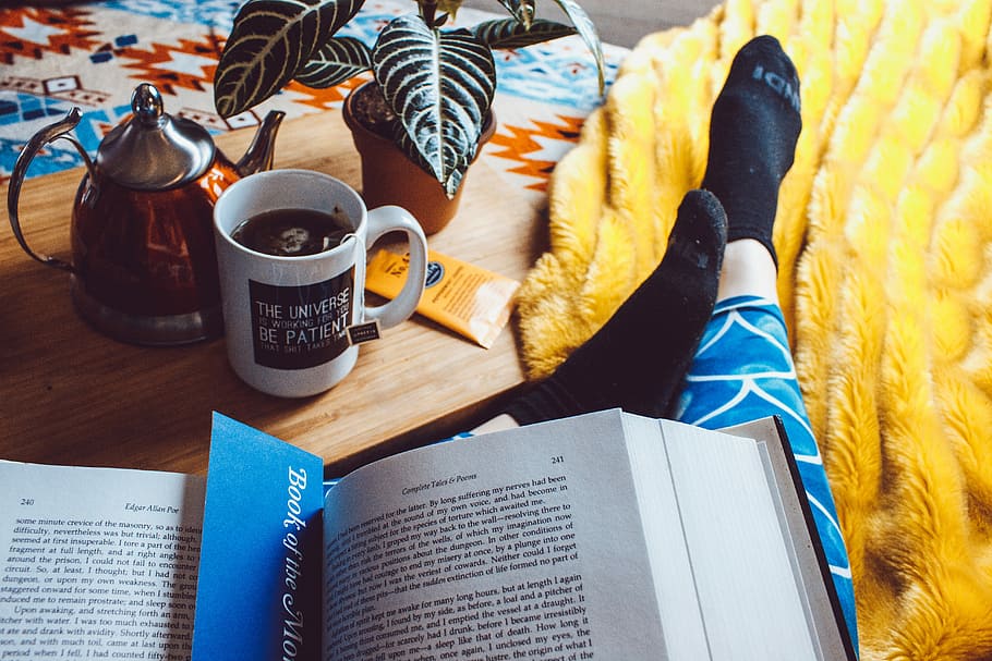 woman reading book, person reading book, study, cosy, tea, paper HD wallpaper