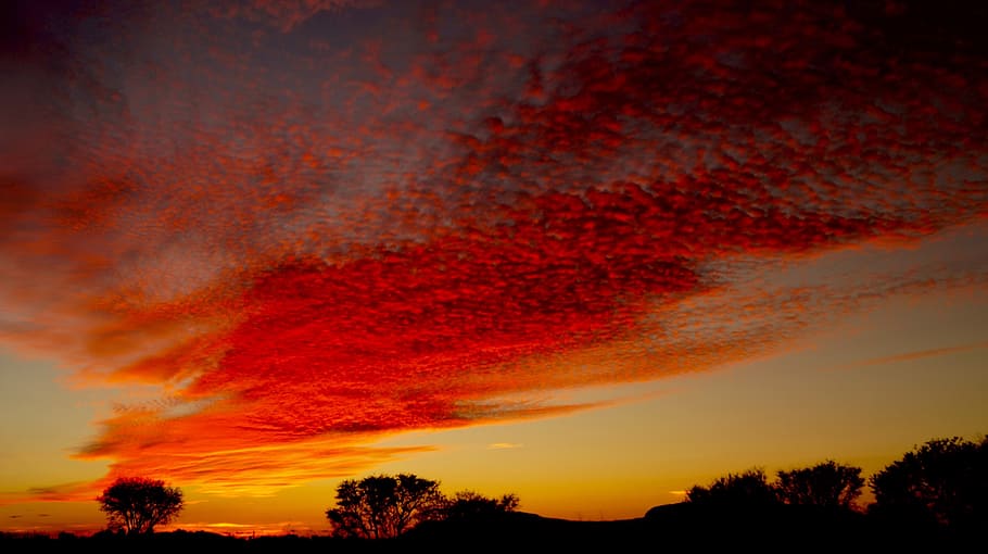 sunset, nature, sky, light, landscape, tree, beauty in nature HD wallpaper
