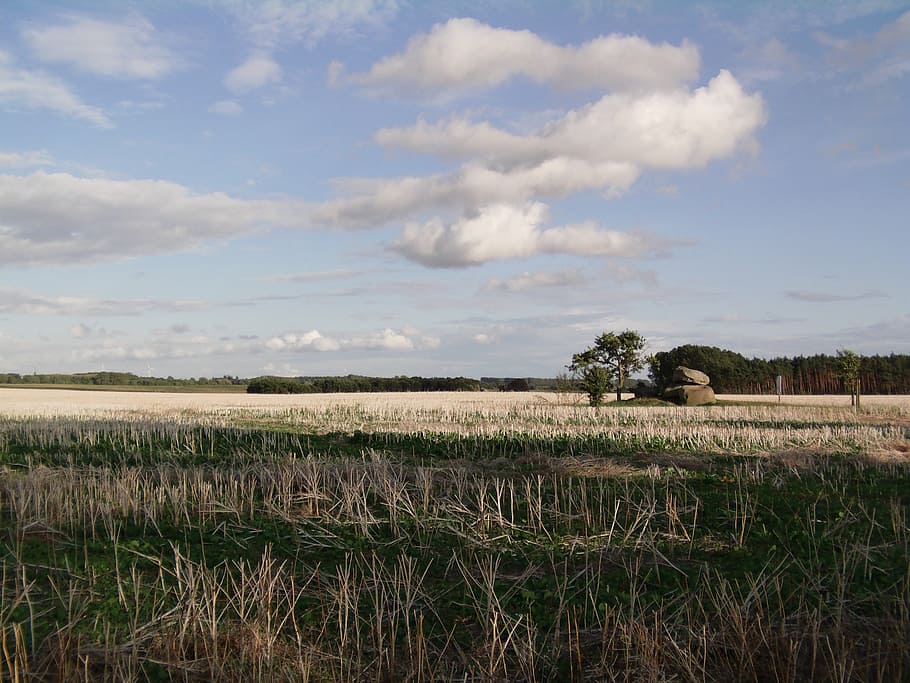 fields, landscape, northern germany, plant, sky, tranquil scene HD wallpaper