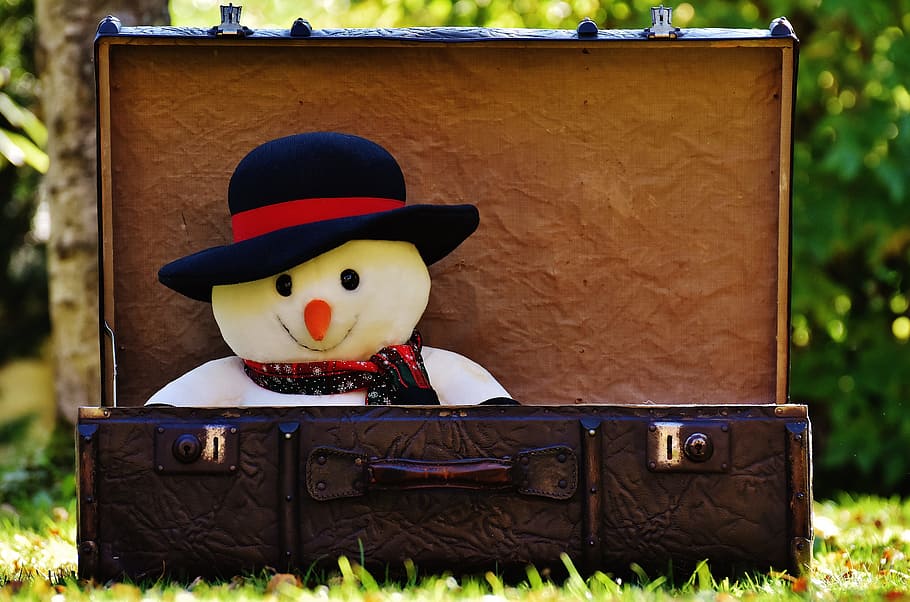 selective focus photo of snowman inside box, winter ade, snow man