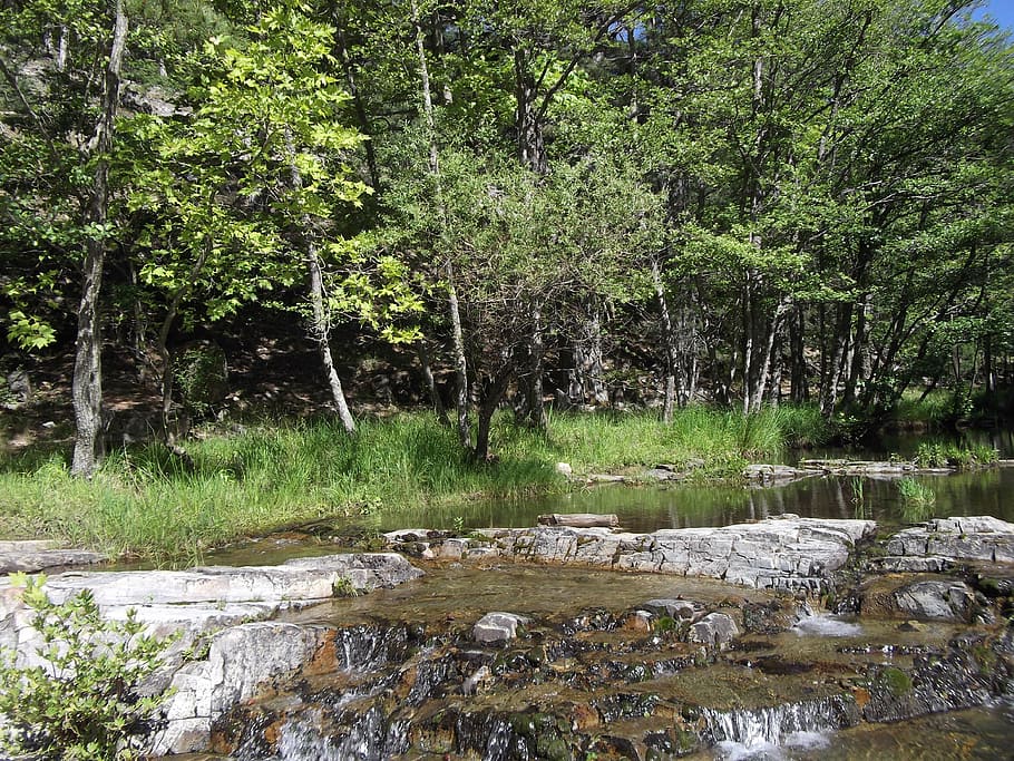 mount ida, forest, trees, stream, river, plant, water, growth HD wallpaper