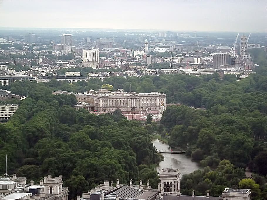 view, buildings, pond, landscape, london, buckingham, palace HD wallpaper