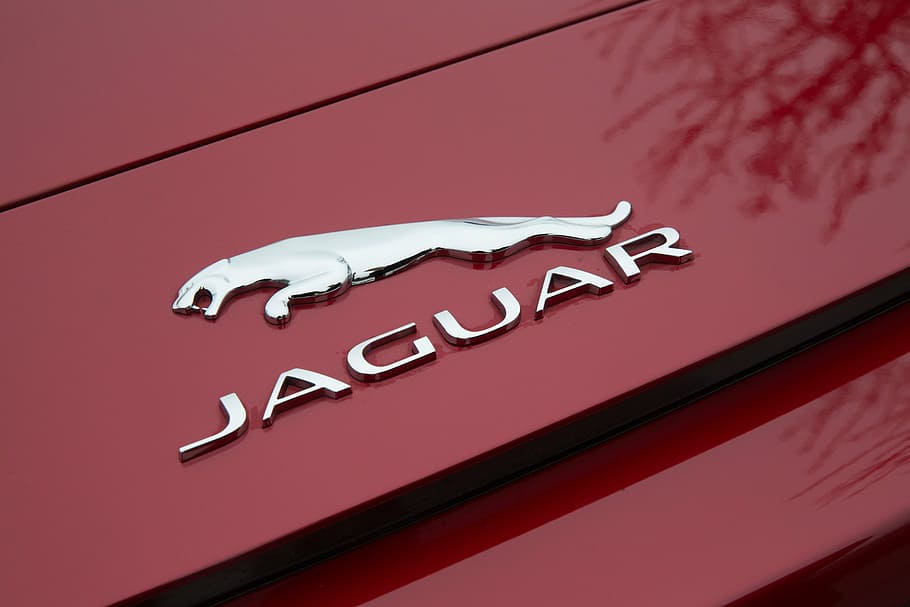 Jaguar Logo Wallpaper 6871370