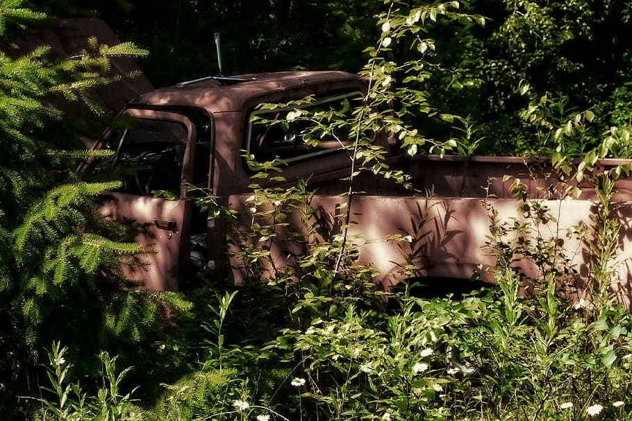 old, truck, rusty, forest, car, vehicle, plant, tree, nature HD wallpaper