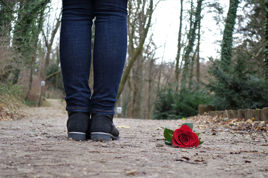 red rose on floor, red rose on the floor, love, sad girl, lost love, HD wallpaper