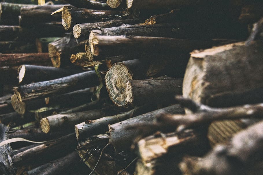 pile of firewood, logs, logging, timber, lumber, forestry, woodpile HD wallpaper