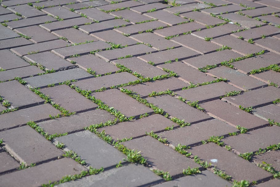 tile, pavement, road, city, pattern, full frame, backgrounds HD wallpaper
