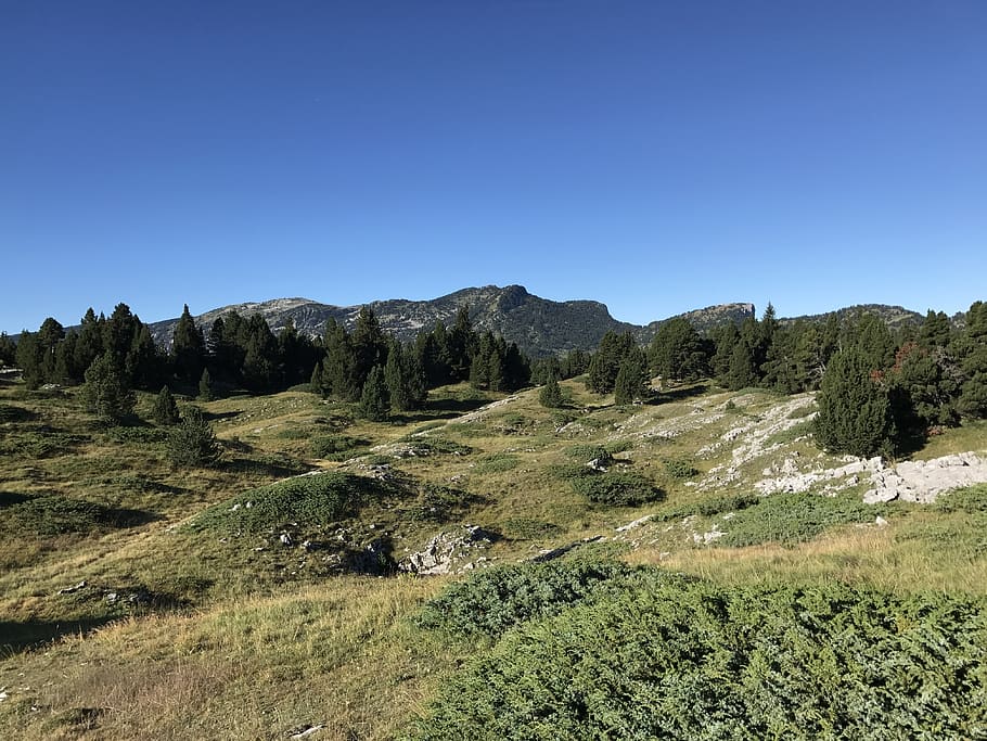 vercors, forest, mountain, sky, tranquility, tranquil scene HD wallpaper