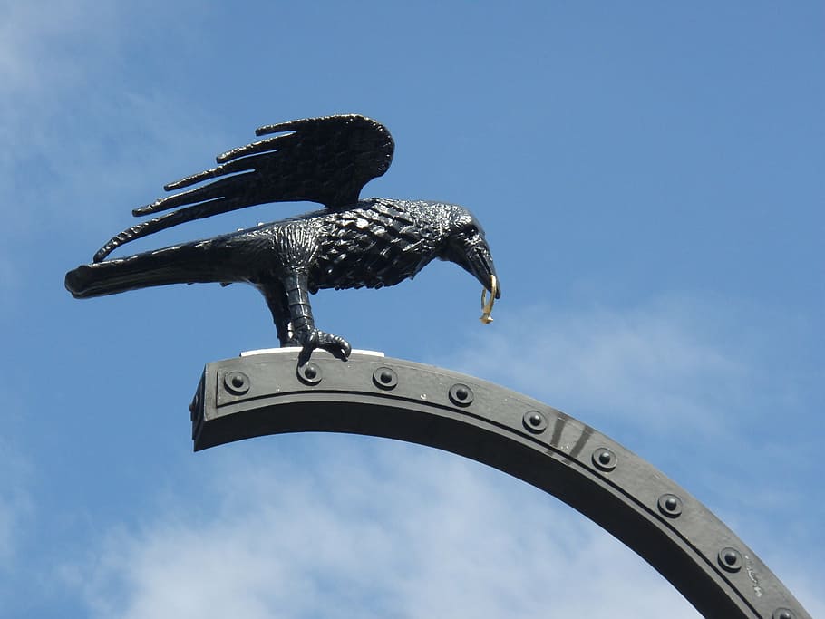 budapest, legend, raven, bird, animal, sky, low angle view HD wallpaper