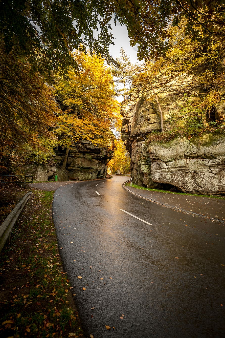 curved pathway near cliffs, gray concrete road surrounded by trees HD wallpaper